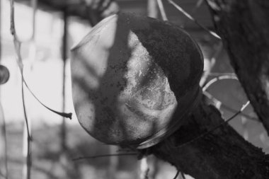 Tek renkli kil çömlek. Siyah ve beyaz çömlek. Monokrom Tasarım Stüdyosu İç mimarisi. Kağıt rulolu işyeri, Şablonlar için Kağıt Çarşaflar, Kalemler, Clay Ot ve Cam Vazo Dekorasyonu.