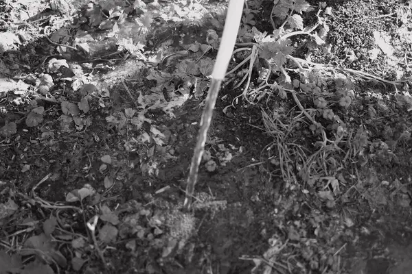 Tek renkli su akar gider. siyah ve beyaz su bir derede akar. İnanılmaz bir dokusu olan canlı, soyut, gri bir arkaplan. Ön odaklı yüksek hızlı kamera çekimi.