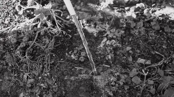 Tek renkli su akar gider. siyah ve beyaz su bir derede akar. İnanılmaz bir dokusu olan canlı, soyut, gri bir arkaplan. Ön odaklı yüksek hızlı kamera çekimi.