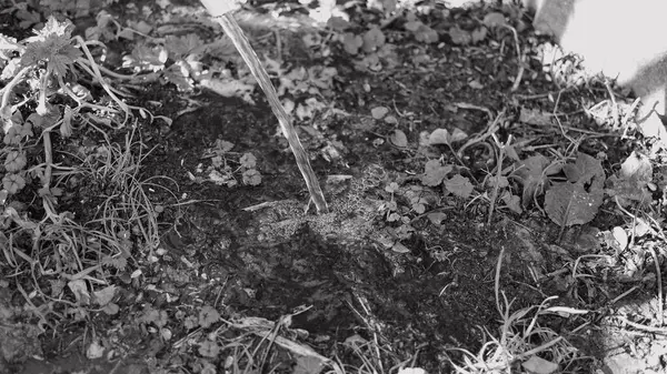 Tek renkli su akar gider. siyah ve beyaz su bir derede akar. İnanılmaz bir dokusu olan canlı, soyut, gri bir arkaplan. Ön odaklı yüksek hızlı kamera çekimi.