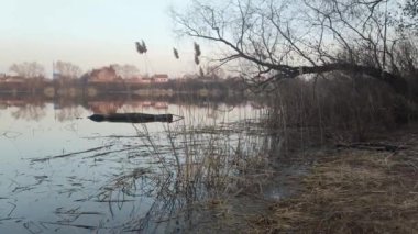 Nehirde akşam manzarası ve suda yansıması var. Renkli bulutlu gökyüzü ve ağaçlar sakin nehir suyuna yansıyor. Çimenler ve ağaçlar nehrin kıyısında yetişir. Evler suya yansıyor..