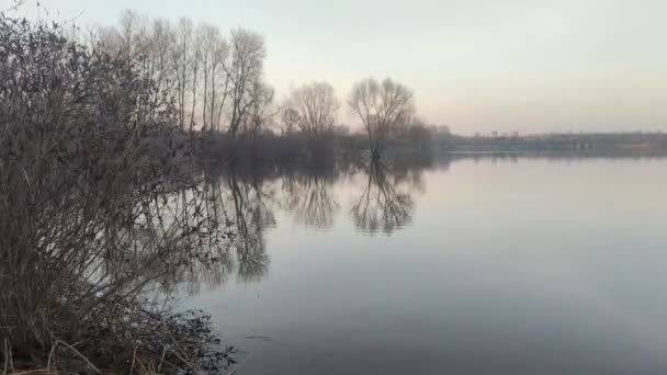 在河上的黄昏景观 水面上倒影 多彩的云天和树木映衬在平静的河水中 河岸上长满了草和树 房子反映在水里 — 图库视频影像