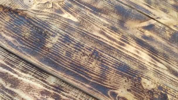 木质部 烧坏的木头木纤维 漂亮的木板摘要白色背景 — 图库视频影像