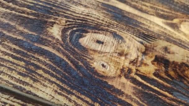 木质部 烧坏的木头木纤维 漂亮的木板摘要白色背景 — 图库视频影像