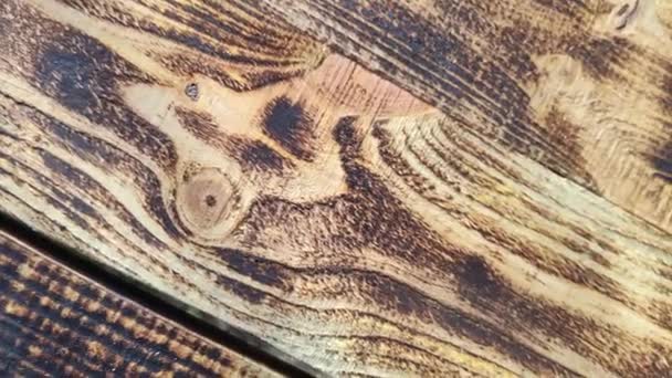 Holzstruktur Verbranntes Holz Holzfasern Schöne Bretter Abstrakter Weißer Hintergrund — Stockvideo