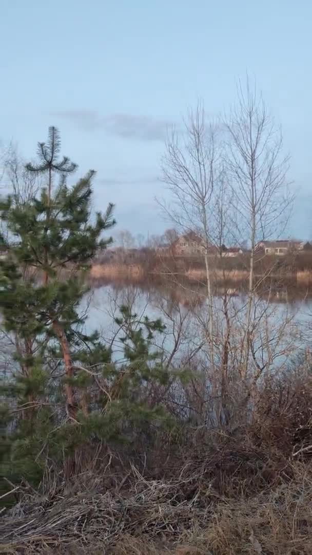 垂直录像 在河上的黄昏景观 水面上倒影 多彩的云天和树木映衬在平静的河水中 河岸上长满了草和树 房子反映在水里 — 图库视频影像