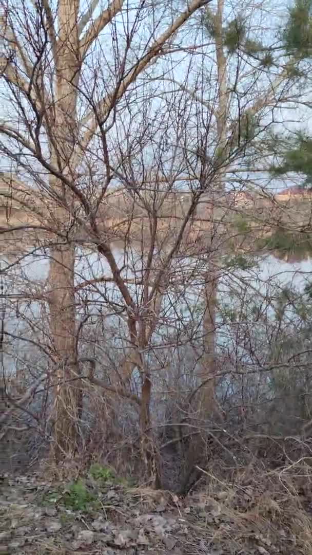 Dikey Video Nehirde Akşam Manzarası Suda Yansıması Var Renkli Bulutlu — Stok video