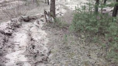 Ormandaki siperler. Güçlendirilmiş bölge. Defans. Kumda özel siperler. Ormanların yangından korunması.