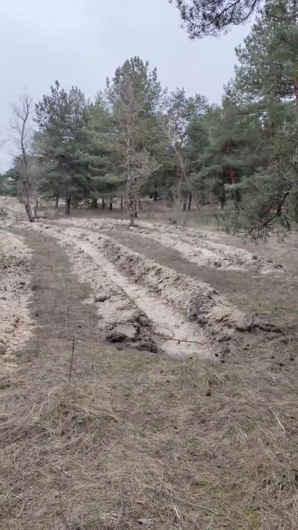 Des Tranchées Dans Forêt Zone Fortifiée Défense Tranchées Spéciales Dans — Video