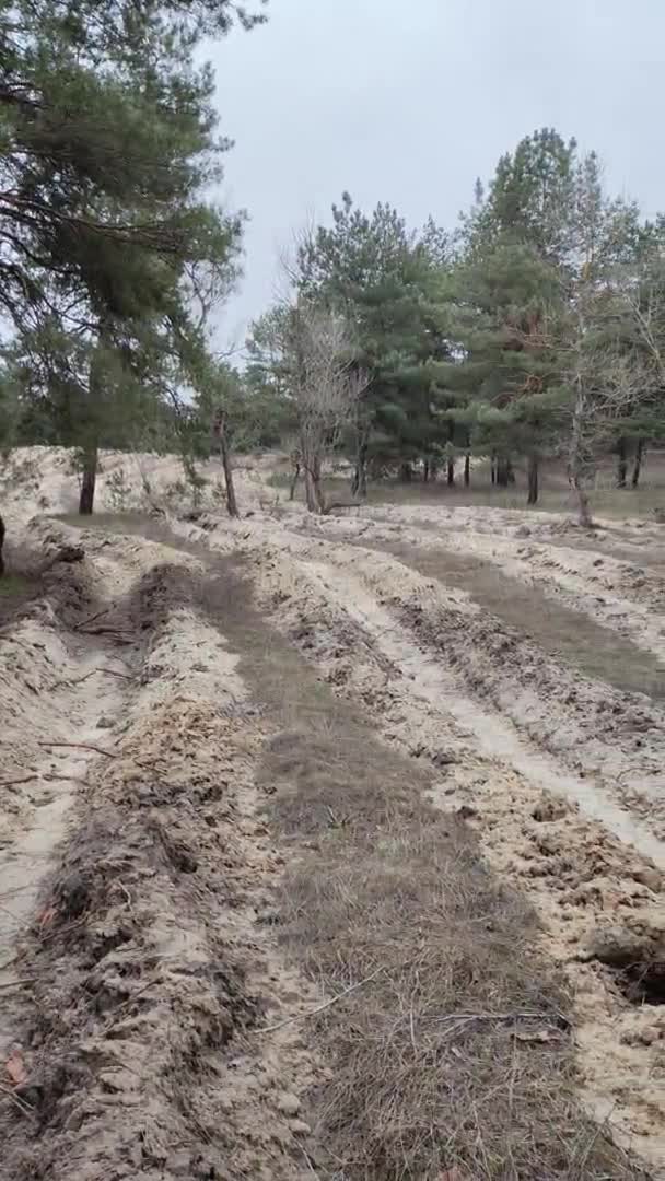 Χαρακώματα Στο Δάσος Οχυρωμένη Περιοχή Υπεράσπιση Ειδικά Χαρακώματα Στην Άμμο — Αρχείο Βίντεο