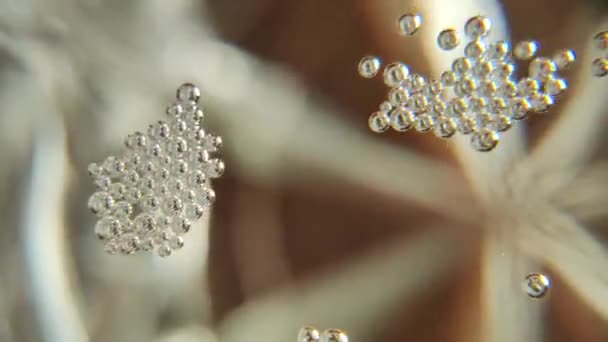 Пузыри Макровидео Пузырьки Шампанском Вид Спереди Абстрактных Прозрачных Пузырей Сливающихся — стоковое видео