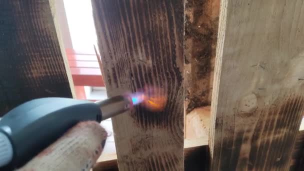 Dervea Struktura Ognia Ogień Deski Obróbka Ogniowa Drewna Palnik Spala — Wideo stockowe