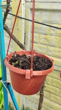 Boş saksılar. Çiçek saksıları asmak. çok renkli saksılar.