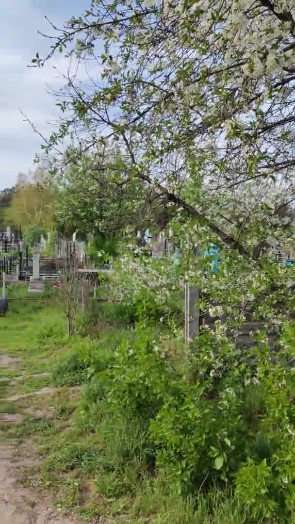 Kijów Miasto Ukraina Kwiecień 2024 Cmentarz Stare Groby Pomniki Cmentarzu — Wideo stockowe