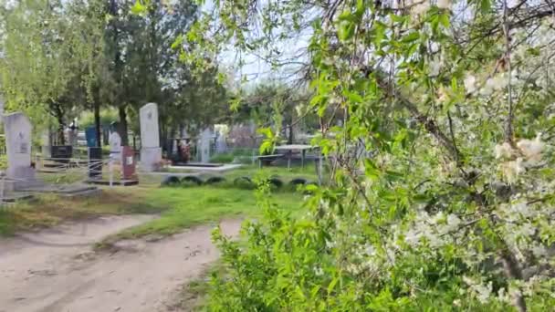 乌克兰基辅市2024年4月 古老的坟墓 公墓里的纪念碑 乌克兰墓地 墓碑和墓碑十字架 — 图库视频影像