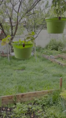 Köy evi. Küçük bahçe avlusu. Özel bir evde veranda. Bahçedeki çimenler.