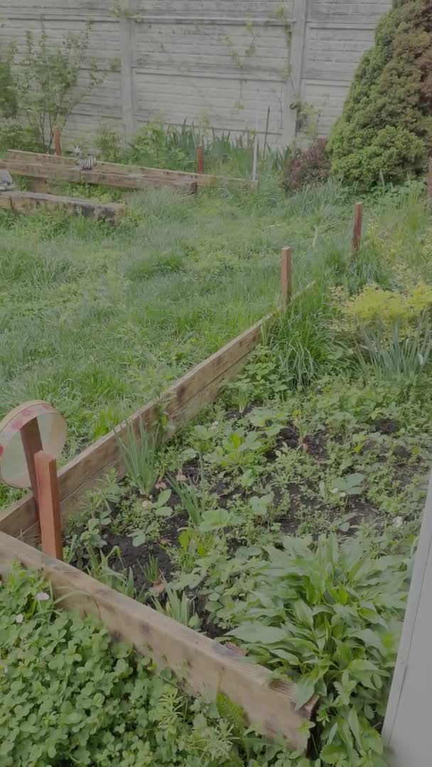 Загородный Дом Небольшой Сад Патио Внутренний Дворик Частном Доме Лужайка — стоковое видео