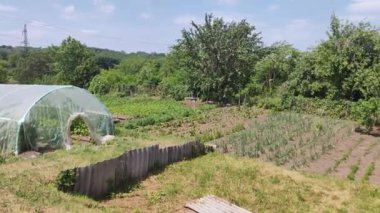 sebze bahçesi tarımı. Yetiştirme yurdu. Sebze. Evde tarım var. sebzeli tarla. Çevre dostu ürünler.