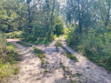 Yol ayrımı. Toprak yollar. Yol ikiye ayrılır. Kumlu yol. Seyahat. taşıma altyapısı.