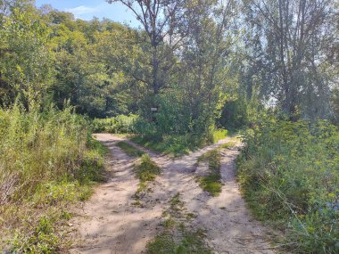 Yol ayrımı. Toprak yollar. Yol ikiye ayrılır. Kumlu yol. Seyahat. taşıma altyapısı.