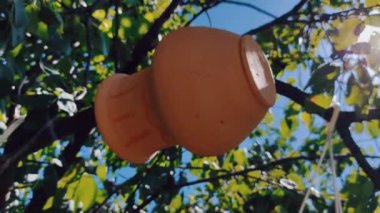 turuncu kil sürahi. Antika sürahi. Çamur kaplar açık hava dekorasyonu. Çatlakları olan bir grup eski kil kavanozu. Ortaçağ gümüş sikkelerinin hazinesi