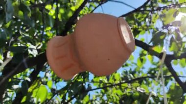 turuncu kil sürahi. Antika sürahi. Çamur kaplar açık hava dekorasyonu. Çatlakları olan bir grup eski kil kavanozu. Ortaçağ gümüş sikkelerinin hazinesi