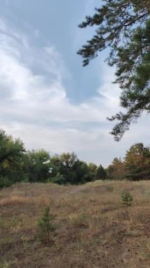 Gün batımında manzara. Güneşin doğuşuyla doğal manzara. Yüksek çözünürlüklü video doğa arkaplanı.