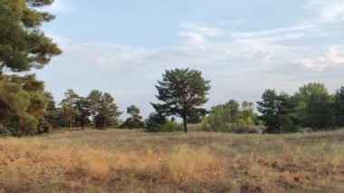 Gün batımında manzara. Güneşin doğuşuyla doğal manzara. Yüksek çözünürlüklü video doğa arkaplanı.