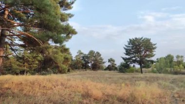 Gün batımında manzara. Güneşin doğuşuyla doğal manzara. Yüksek çözünürlüklü video doğa arkaplanı.