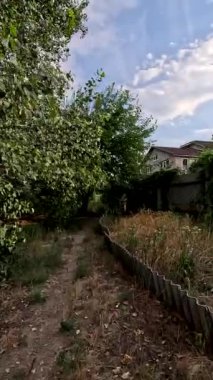 Sonbaharda yol boyunca yürüyorum. Sonbahar manzarası. Sonbahar yaprakları yerde. Dar yol. Nehir kenarında yürüyüş. Göl ve gökyüzü. Güzel doğal manzara. HDR video 4K 60 fps.