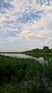 Sonbaharda yol boyunca yürüyorum. Sonbahar manzarası. Sonbahar yaprakları yerde. Dar yol. Nehir kenarında yürüyüş. Göl ve gökyüzü. Güzel doğal manzara. HDR video 4K 60 fps.