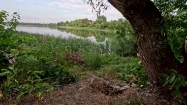 Sonbaharda yol boyunca yürüyorum. Sonbahar manzarası. Sonbahar yaprakları yerde. Dar yol. Nehir kenarında yürüyüş. Göl ve gökyüzü. Güzel doğal manzara. HDR video 4K 60 fps.