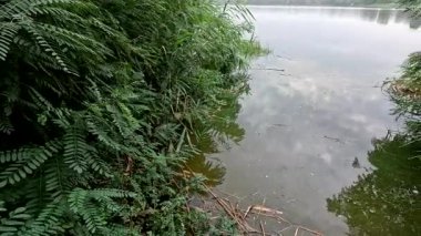 Su ve sahil. Nehirdeki karanlık su. Gölde siyah su.