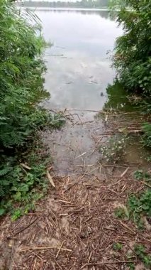 Su ve sahil. Nehirdeki karanlık su. Gölde siyah su.