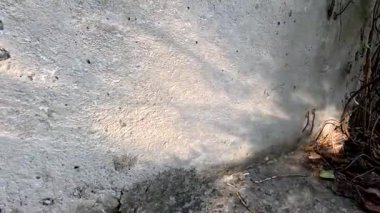 Beton duvardaki gölgeler. Beton doku. Gri duvar. Işık ve gölge. Soyut gri doku. austract video arkaplanı.