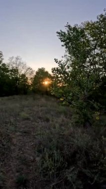 Nehirde gün batımı. Göl kıyısında gün doğumu. Güneş ağaçların arkasında. Gün batımı ve su ile güzel doğal manzara. Yüksek çözünürlüklü video Güneş suyun üzerinde parlıyor. Nehirdeki karanlık su.