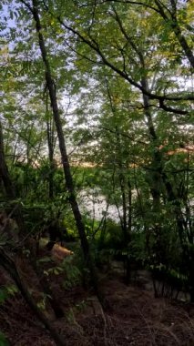 Nehirde gün batımı. Göl kıyısında gün doğumu. Güneş ağaçların arkasında. Gün batımı ve su ile güzel doğal manzara. Yüksek çözünürlüklü video Güneş suyun üzerinde parlıyor. Nehirdeki karanlık su.