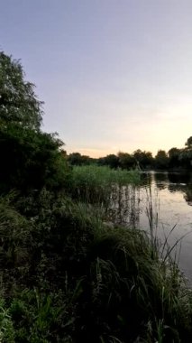 Nehirde gün batımı. Göl kıyısında gün doğumu. Güneş ağaçların arkasında. Gün batımı ve su ile güzel doğal manzara. Yüksek çözünürlüklü video Güneş suyun üzerinde parlıyor. Nehirdeki karanlık su.