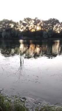 Nehirde gün batımı. Göl kıyısında gün doğumu. Güneş ağaçların arkasında. Gün batımı ve su ile güzel doğal manzara. Yüksek çözünürlüklü video Güneş suyun üzerinde parlıyor. Nehirdeki karanlık su.