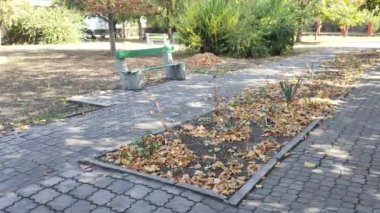 Sonbaharda dinlenmek için park et. Güneşli bir günde banklarla dolu bir sonbahar meydanı. Sonbahar yaprakları bir bankın yanında. Parkta dinlen. Parlak sonbahar güneşli günü. Meydanda yürü. şehir ortamı.