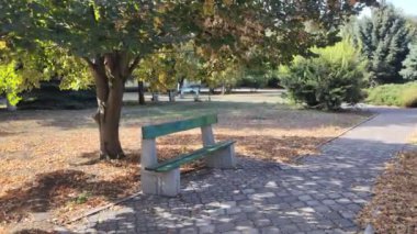 Sonbaharda dinlenmek için park et. Güneşli bir günde banklarla dolu bir sonbahar meydanı. Sonbahar yaprakları bir bankın yanında. Parkta dinlen. Parlak sonbahar güneşli günü. Meydanda yürü. şehir ortamı.