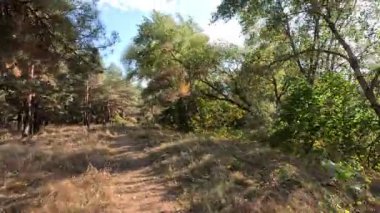 Zaman metodu devrede. Zaman mefhumunu harekete geçir. Video Doğa Yürüyüşü zamanı. Zaman ayarlı video doğa manzarası. Hareket halindeki zaman dilimi. Zaman bükümlü doğa manzarası. zaman eğrisi yürüyüşü.