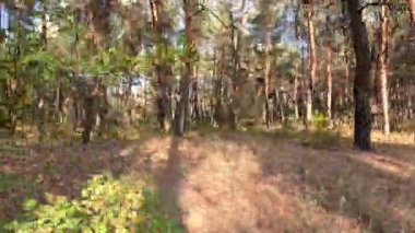 Zaman metodu devrede. Zaman mefhumunu harekete geçir. Video Doğa Yürüyüşü zamanı. Zaman ayarlı video doğa manzarası. Hareket halindeki zaman dilimi. Zaman bükümlü doğa manzarası. zaman eğrisi yürüyüşü.