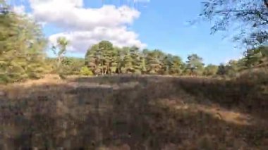 Zaman metodu devrede. Zaman mefhumunu harekete geçir. Video Doğa Yürüyüşü zamanı. Zaman ayarlı video doğa manzarası. Hareket halindeki zaman dilimi. Zaman bükümlü doğa manzarası. zaman eğrisi yürüyüşü.