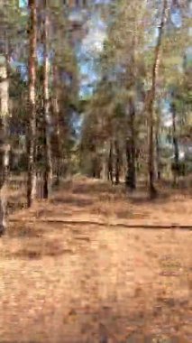 Zaman metodu devrede. Zaman mefhumunu harekete geçir. Video Doğa Yürüyüşü zamanı. Zaman ayarlı video doğa manzarası. Hareket halindeki zaman dilimi. Zaman bükümlü doğa manzarası. zaman eğrisi yürüyüşü.