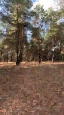 Zaman metodu devrede. Zaman mefhumunu harekete geçir. Video Doğa Yürüyüşü zamanı. Zaman ayarlı video doğa manzarası. Hareket halindeki zaman dilimi. Zaman bükümlü doğa manzarası. zaman eğrisi yürüyüşü.