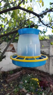 Bird feeder on a tree. Wild Parus major (Great tit) and Dendrocopos major (great spotted woodpecker) birds eat seeds from wooden bird feeder hanging on tree in winter forest.