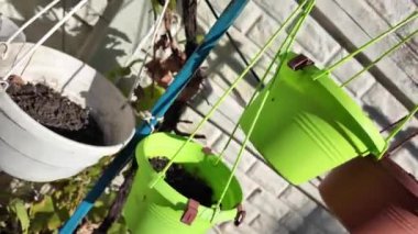 Boş saksılar. Asılı saksılar.