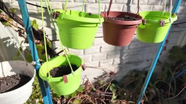 Boş saksılar. Asılı saksılar.