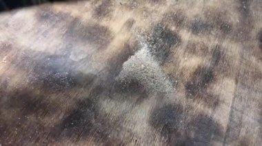 Fırça talaşları ve talaşları tahtadan bir yüzeyden siler. Marangoz çalışma alanını veya tezgahı temizler. İnşaatçı, Küçük İşletme Sahipleri Temizlik İşyeri.